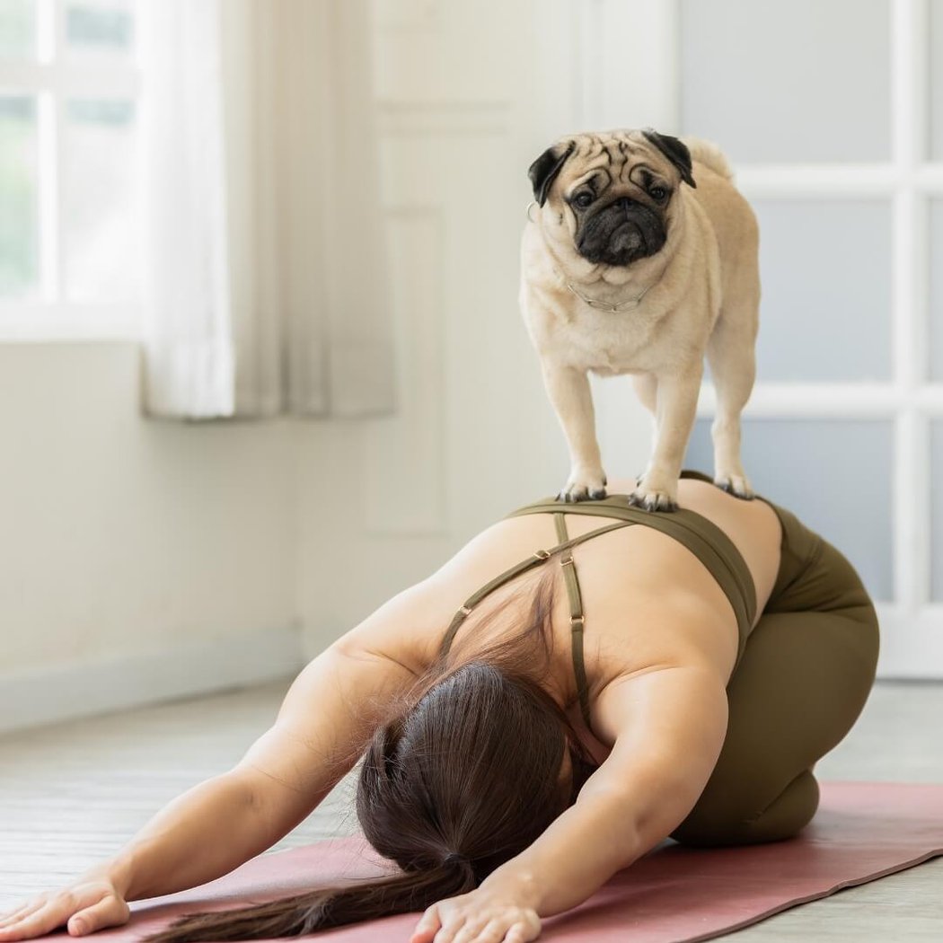 Summer Yoga Series: Puppy Yoga 3